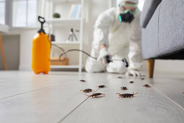 Commercial Kitchen Cockroach Control in Canby